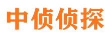 临颍市场调查